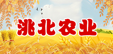 洮北農(nóng)業(yè).jpg